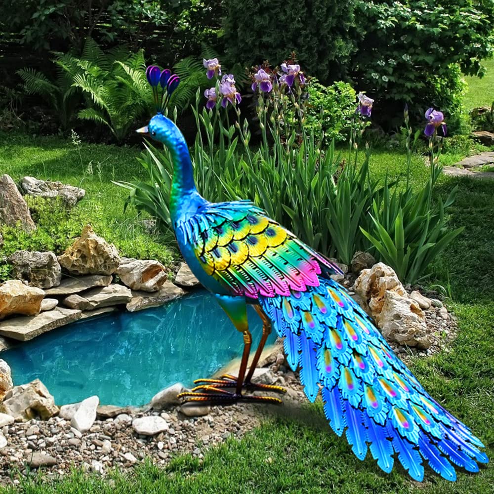 chisheen peacock front view showing colorful finish and welcoming garden accent