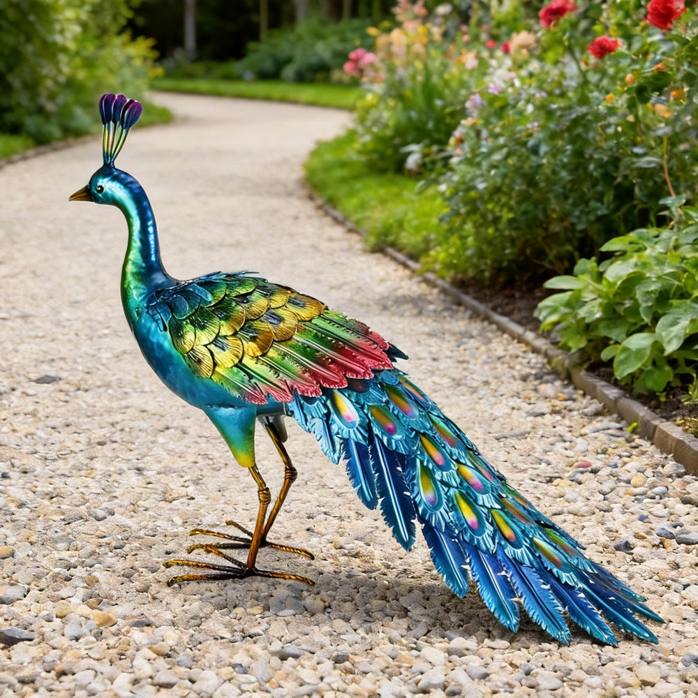 chisheen peacock indoor display on shelf bringing color and sculptural charm