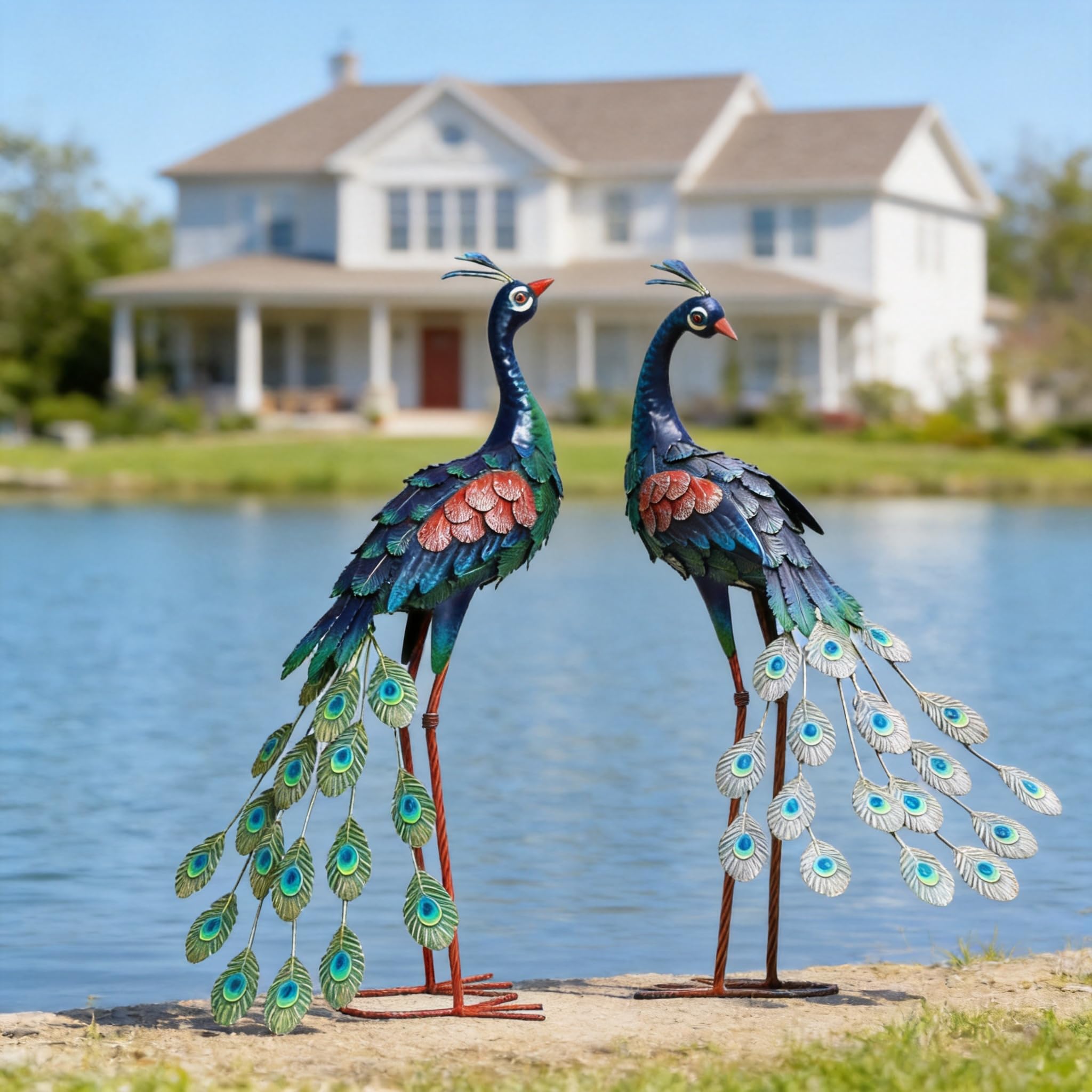 chisheen packaged peacocks in box demonstrating protected shipping