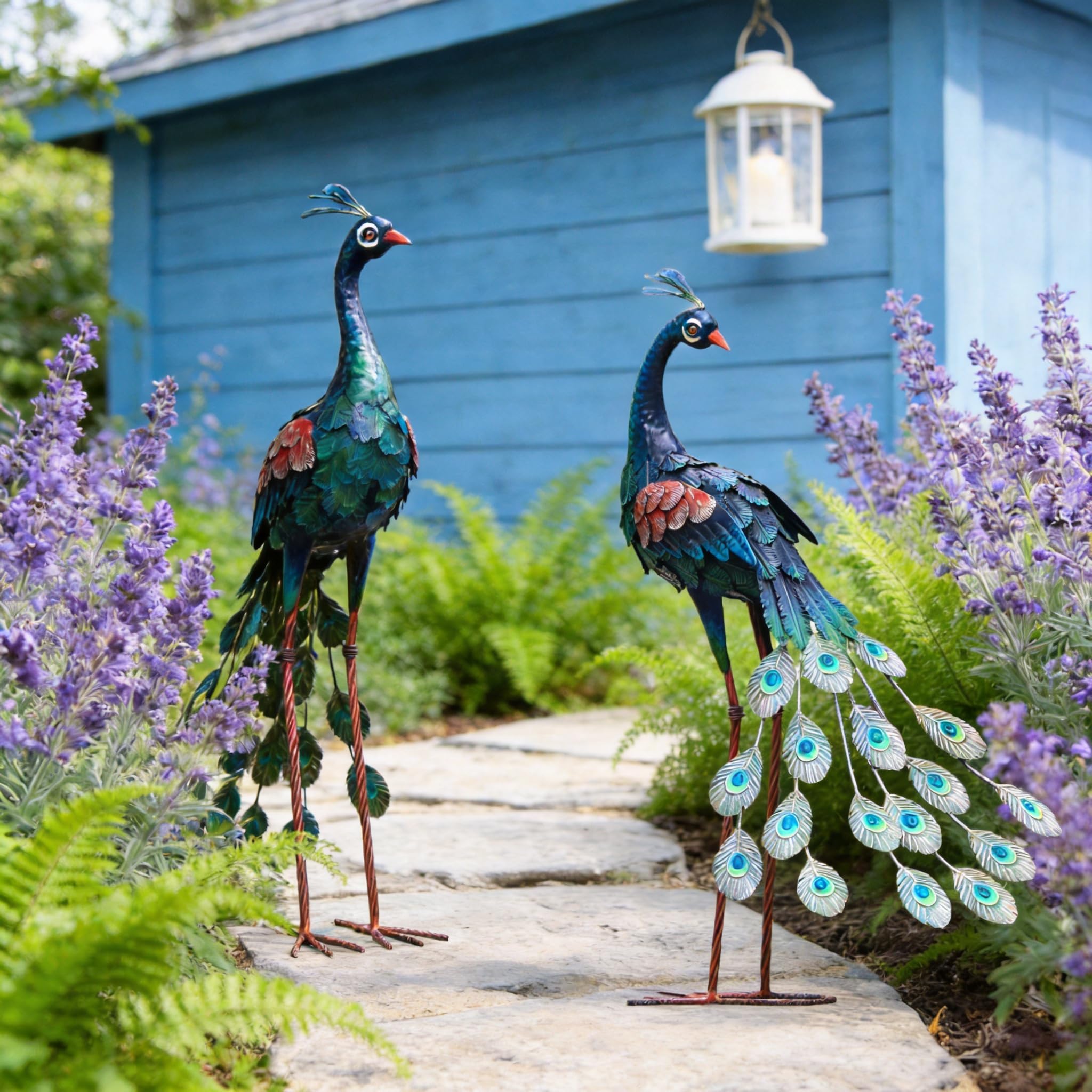chisheen peacock styled on patio illustrating visual enhancement benefit
