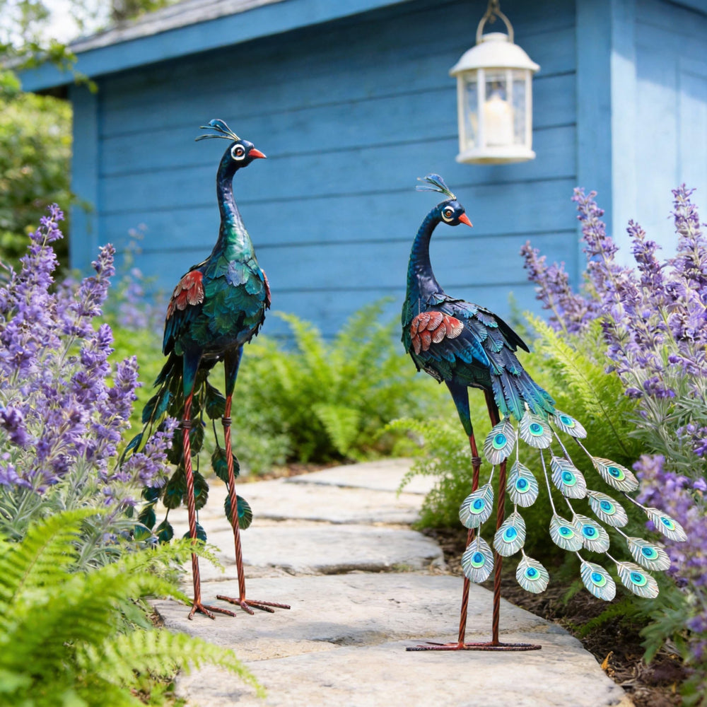 chisheen peacock styled on patio illustrating visual enhancement benefit