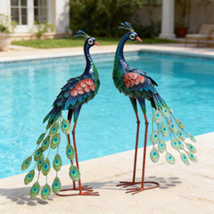 chisheen side profile of both peacocks showing layered garden composition
