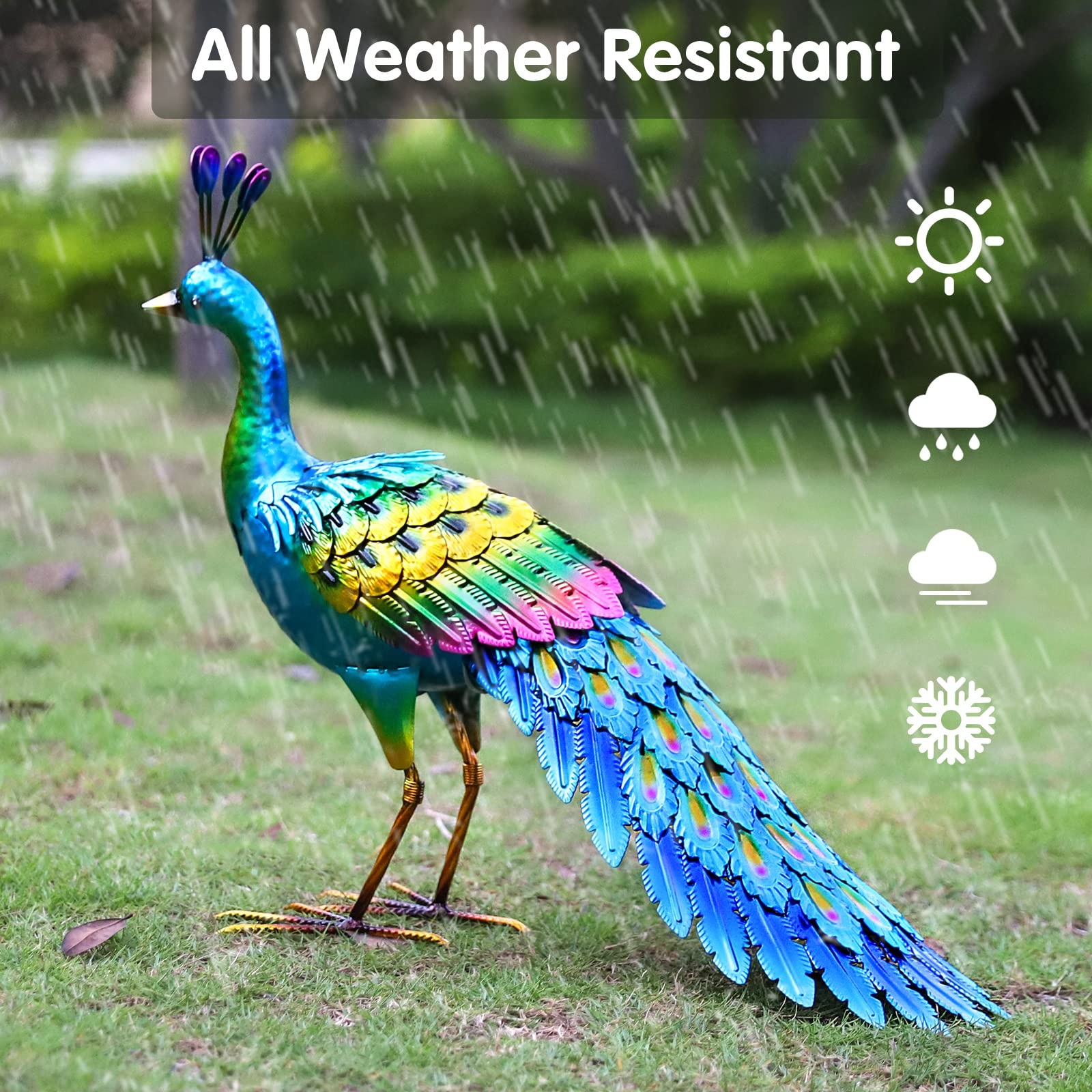 chisheen peacock near flowerbed adding vibrant contrast and focal interest