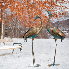 chisheen heron next to person showing scale and impressive height benefit