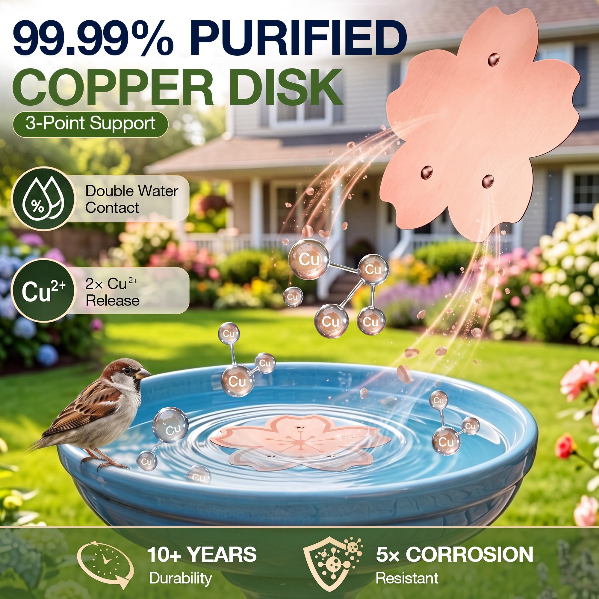 Chitidr circulator creating gentle water ripples that attract birds and reduce surface stagnation