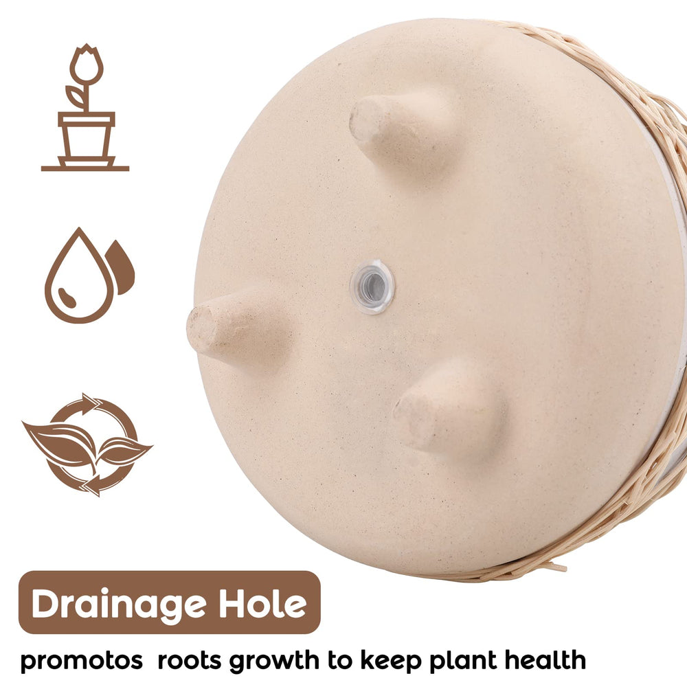 Chonsun on wooden shelf lifestyle image showing brand planter enhancing interior décor