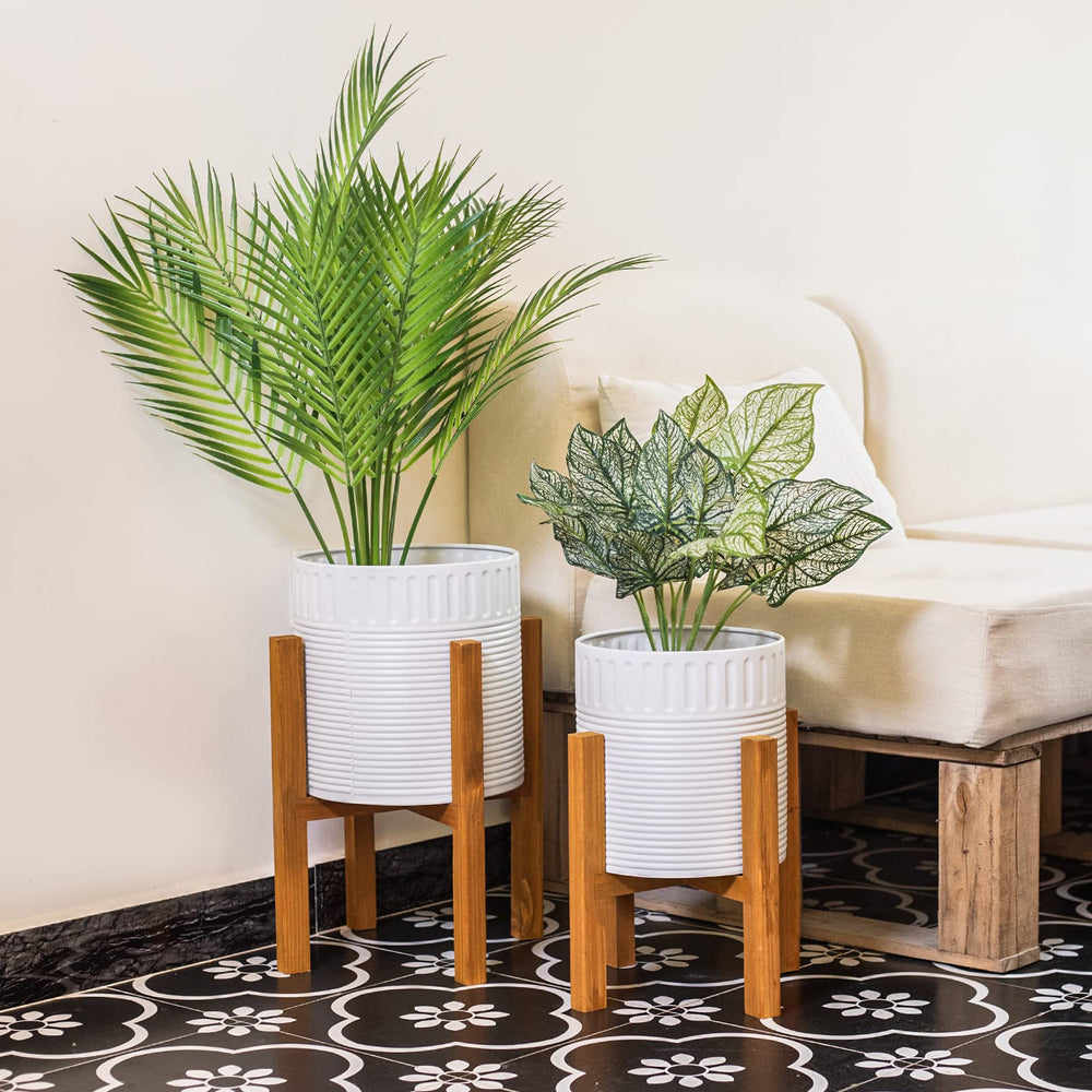 Chonsun planted planters with green foliage demonstrating elegant indoor styling
