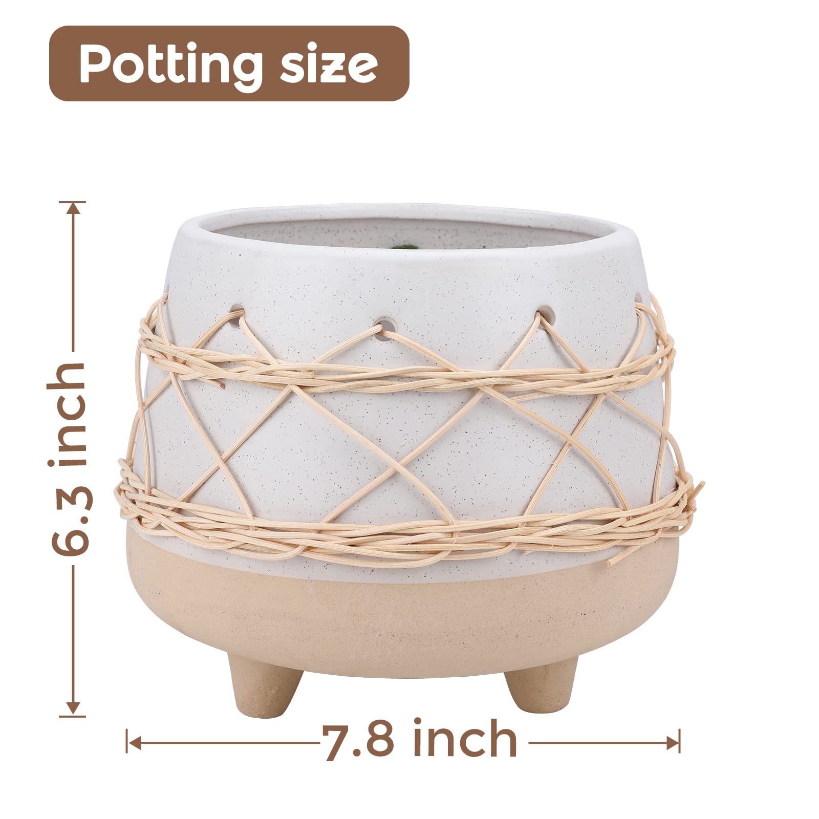 Chonsun planter with succulent demonstrating plant fit and attractive tabletop styling