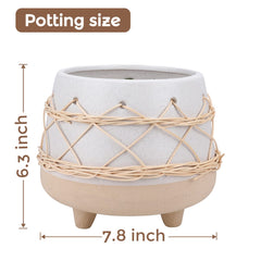 Chonsun planter with succulent demonstrating plant fit and attractive tabletop styling