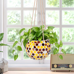 Chonsun planter filled with blooms demonstrating vibrant display potential
