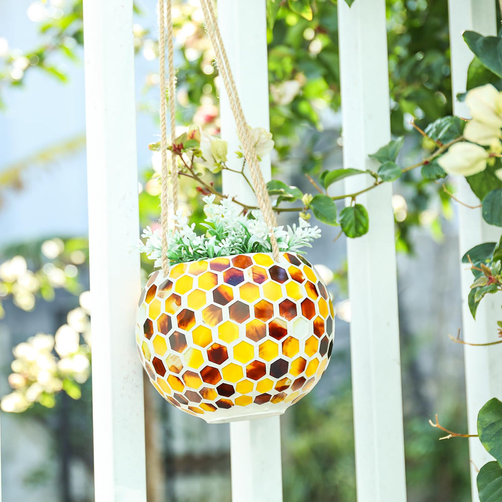 Chonsun in kitchen window setting adding color and herb-growing convenience