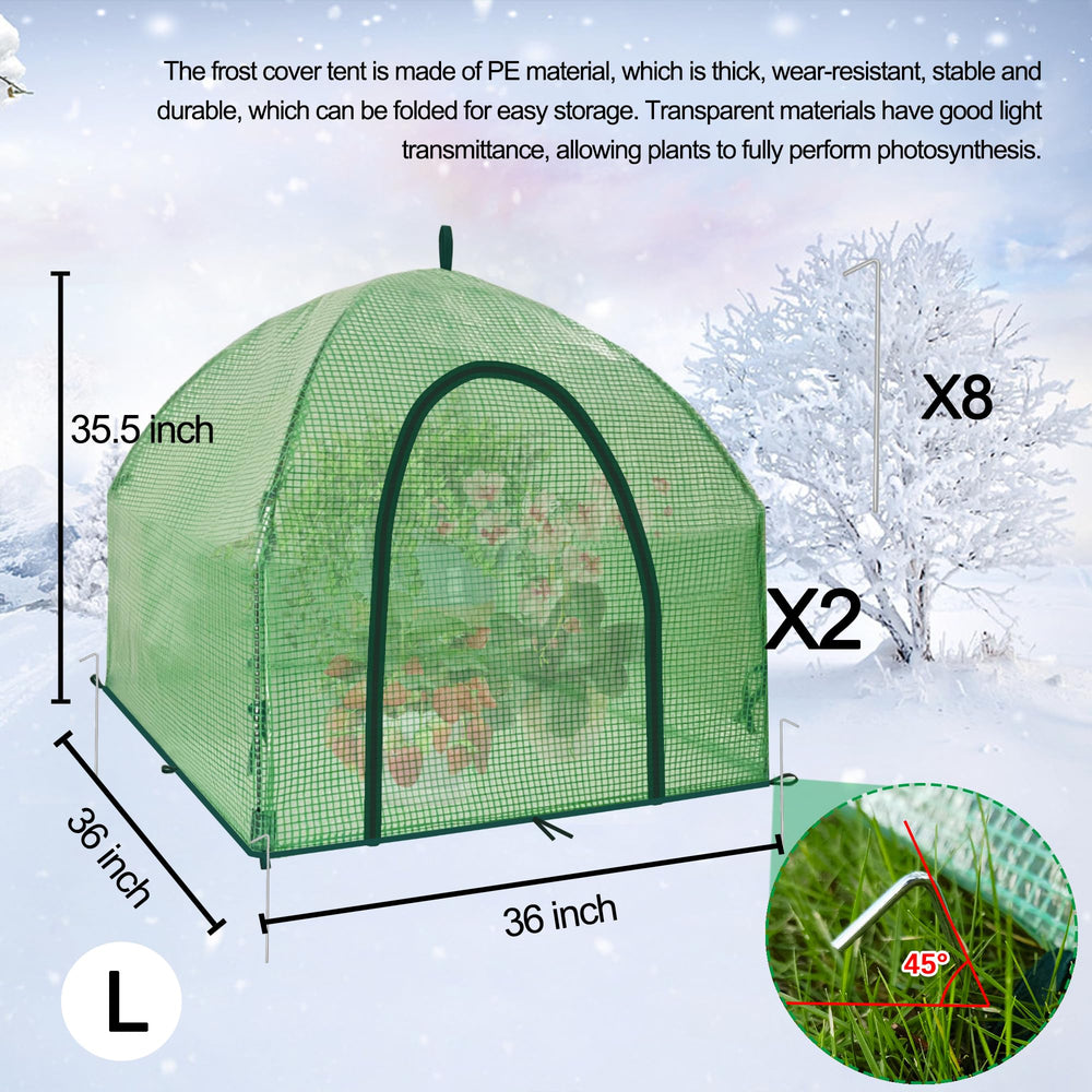 CHPPEY assembled mini greenhouse in garden protecting a shrub from cold