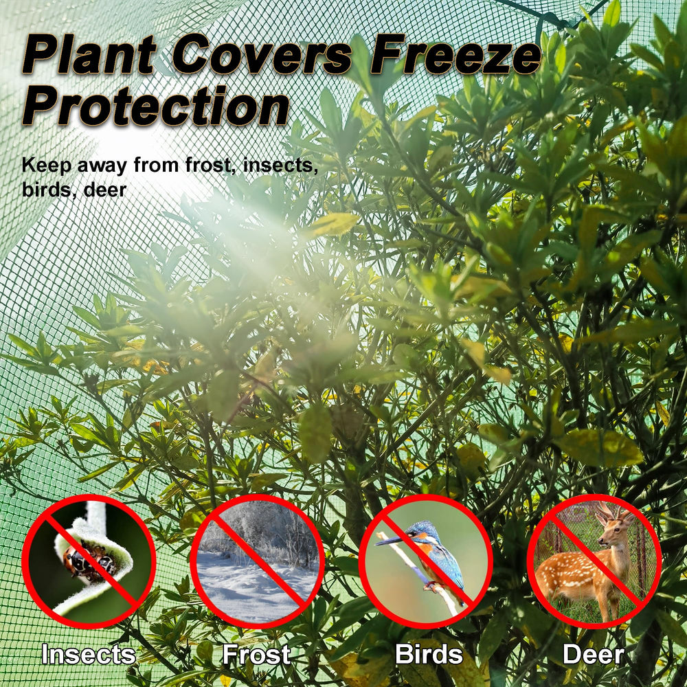 CHPPEY tent in garden protecting shrub from frost and wind