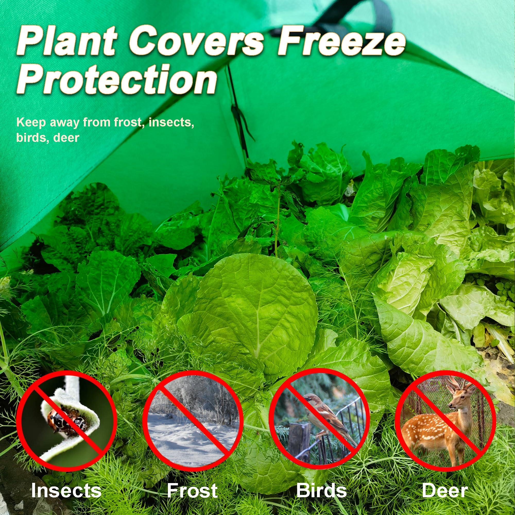 CHPPEY insect mesh close-up preventing pest entry while airing