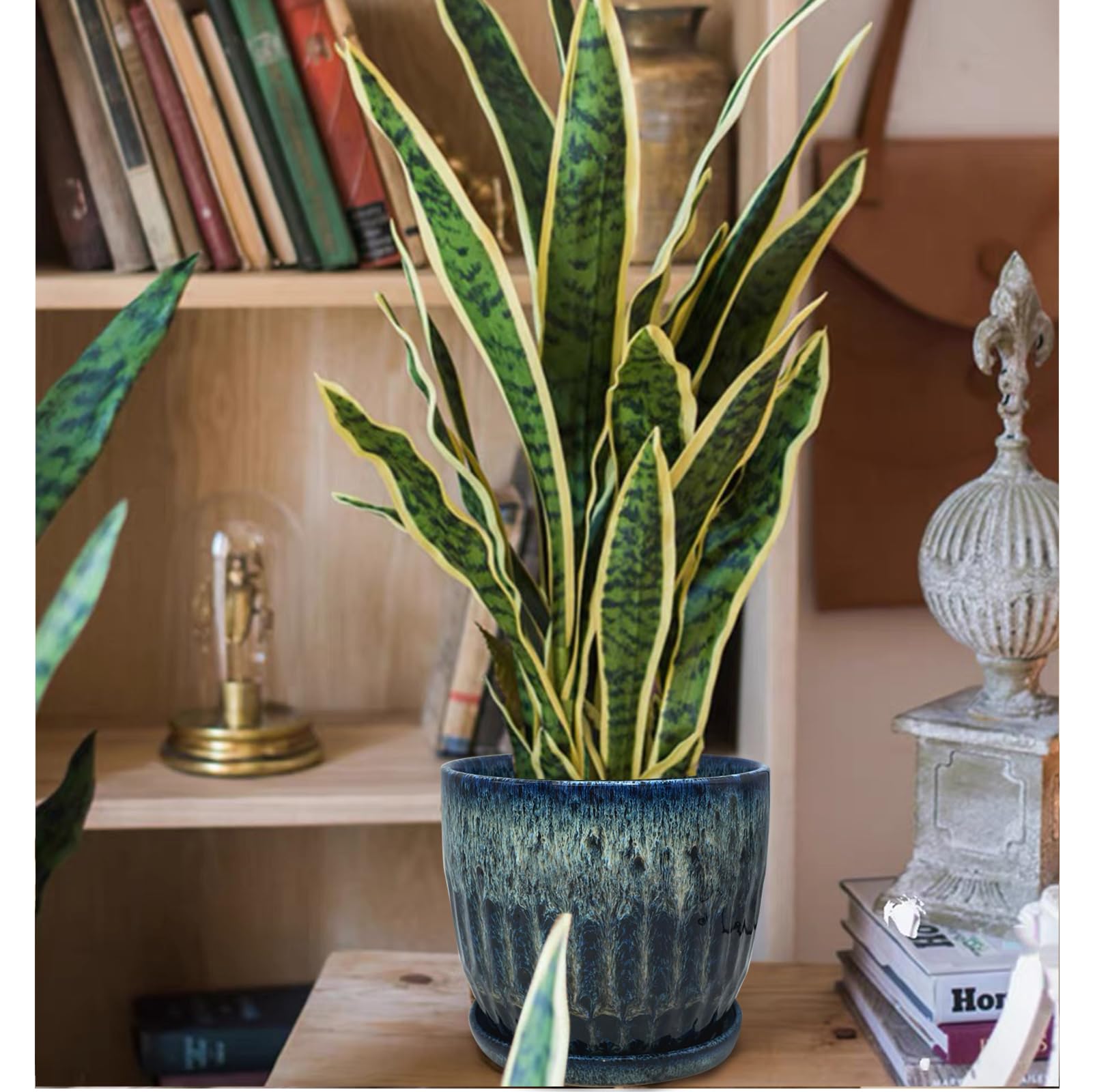 Chralji GIFTWARE planter on wooden shelf, elevates home decor