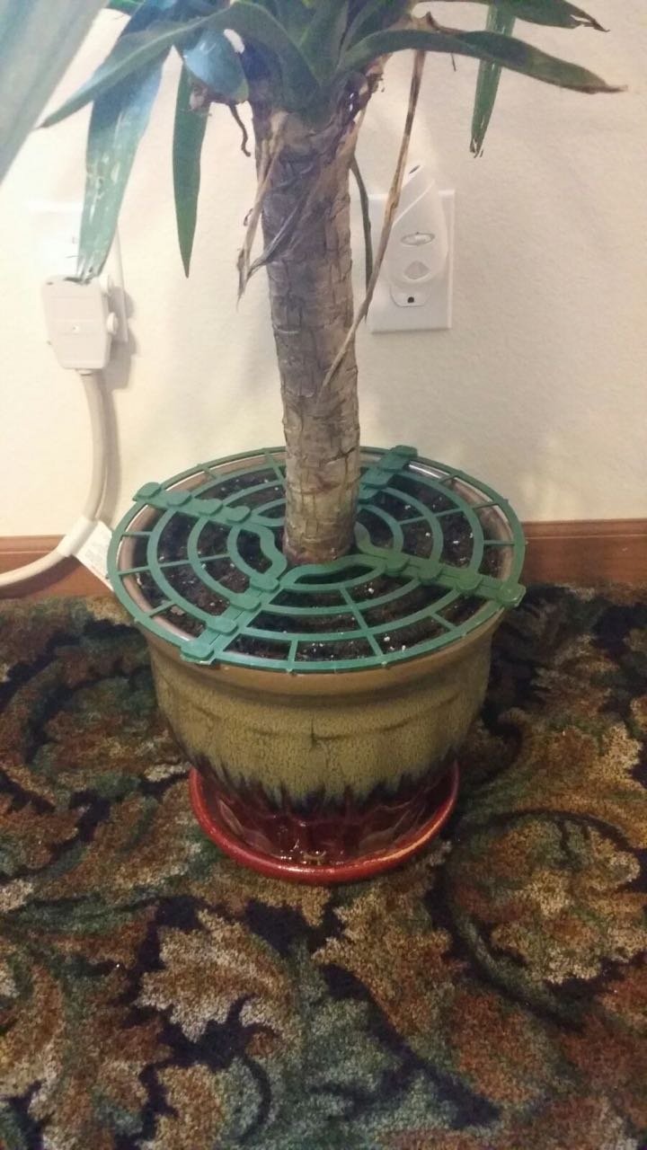 Christmas Tree Defender beside a hand showing scale and adjustable diameter benefit fit