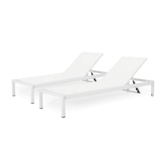 Christopher Knight Home front view of two white chaise lounges showing modern style and comfort