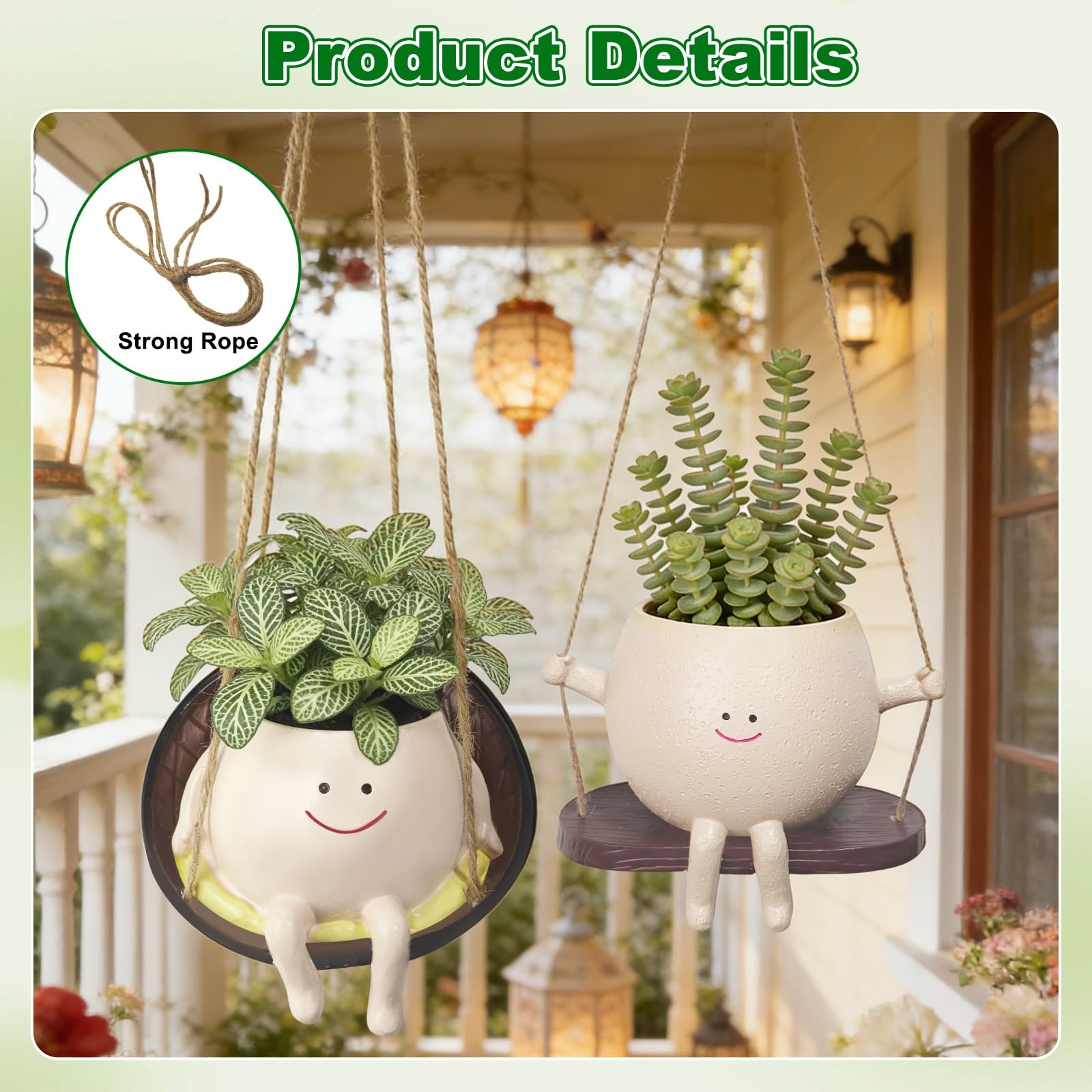 Chrotopic hanging pot in use with succulent adding vertical interest