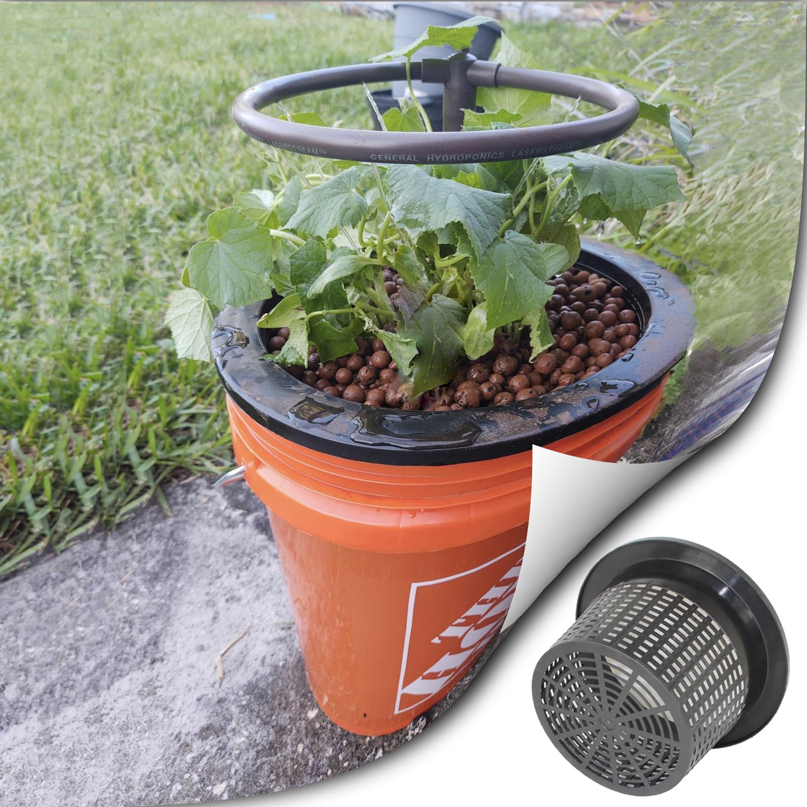 CHTASO hydroponic bucket setup with plants, showing system-ready performance