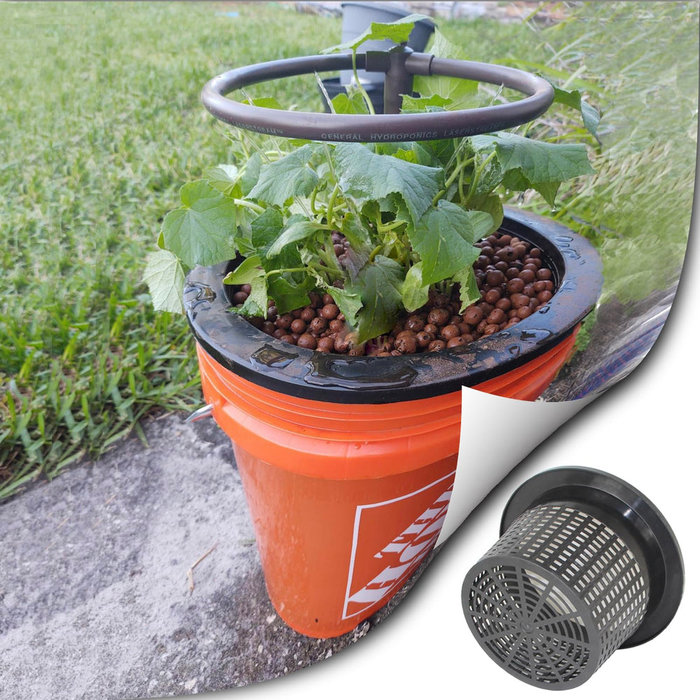 CHTASO hydroponic bucket setup with plants, showing system-ready performance