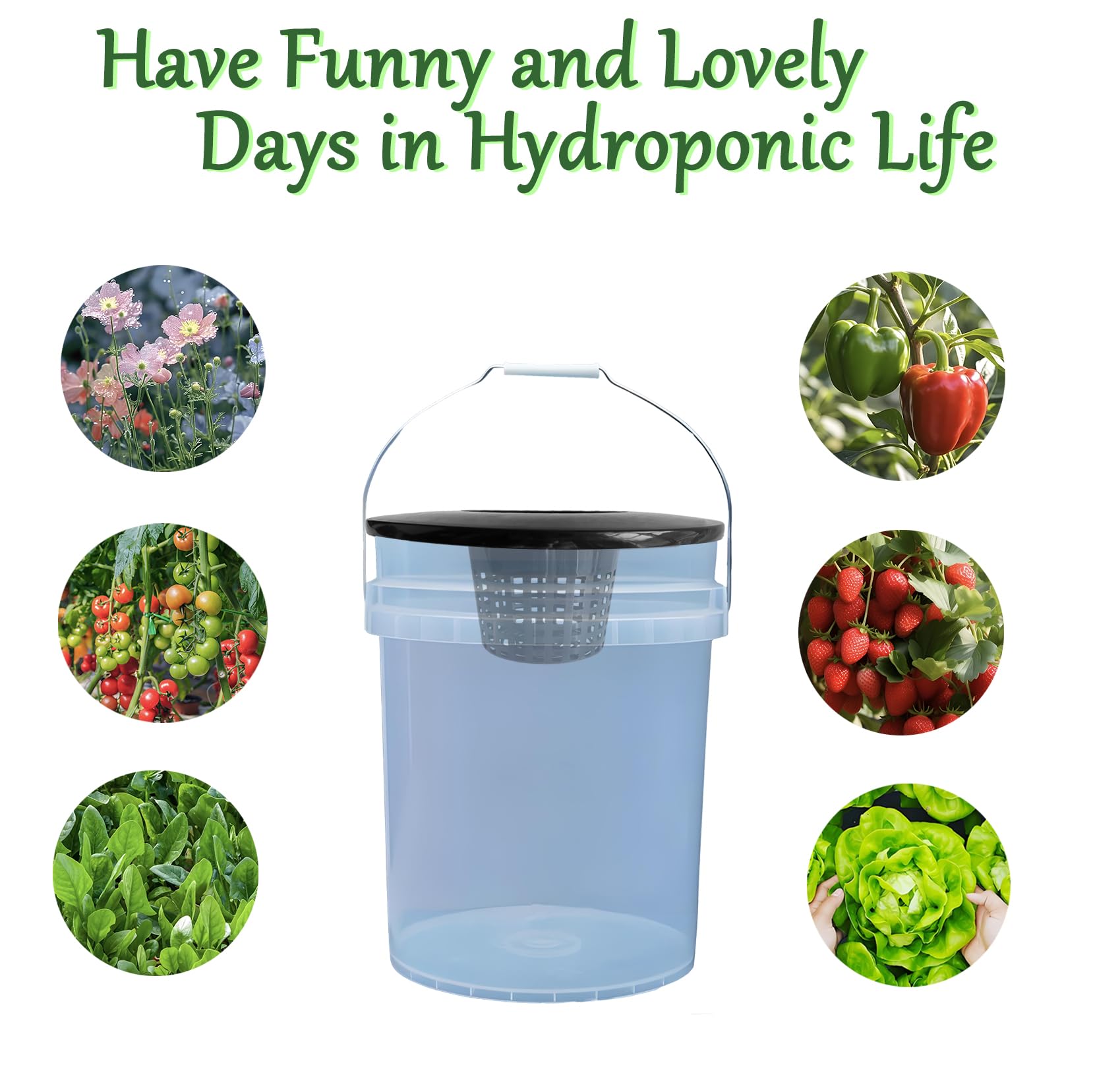 CHTASO lid in use with net pot showing root development and easy access for inspection