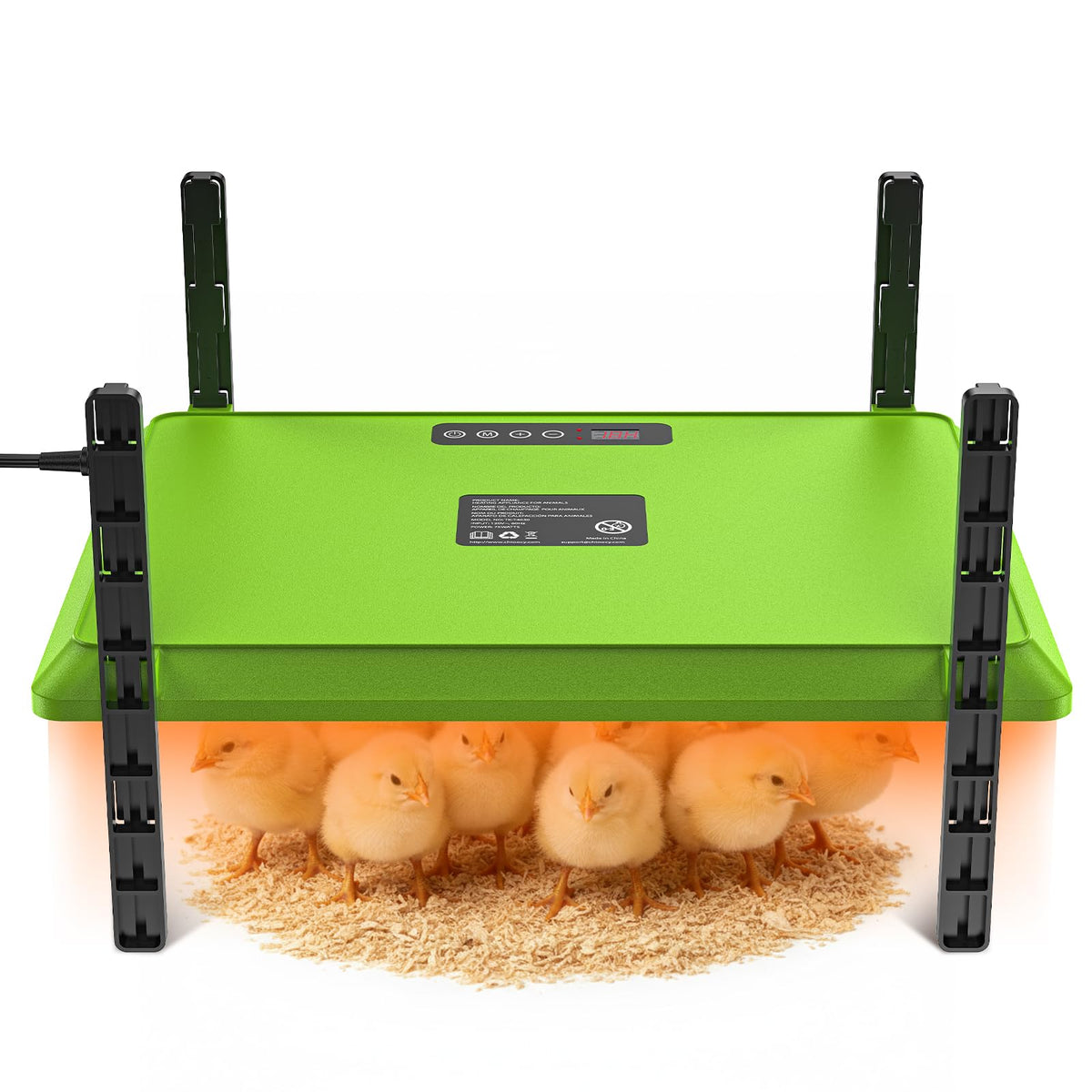 Chtoocy brooder plate front view showing heated surface and stable design, ensuring safe warmth
