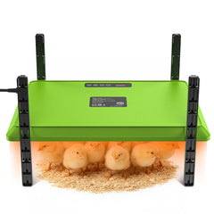 Chtoocy brooder plate front view showing heated surface and stable design, ensuring safe warmth
