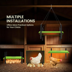 Chtoocy plate installed in brooder with chicks using the warm zone for comfortable behavior