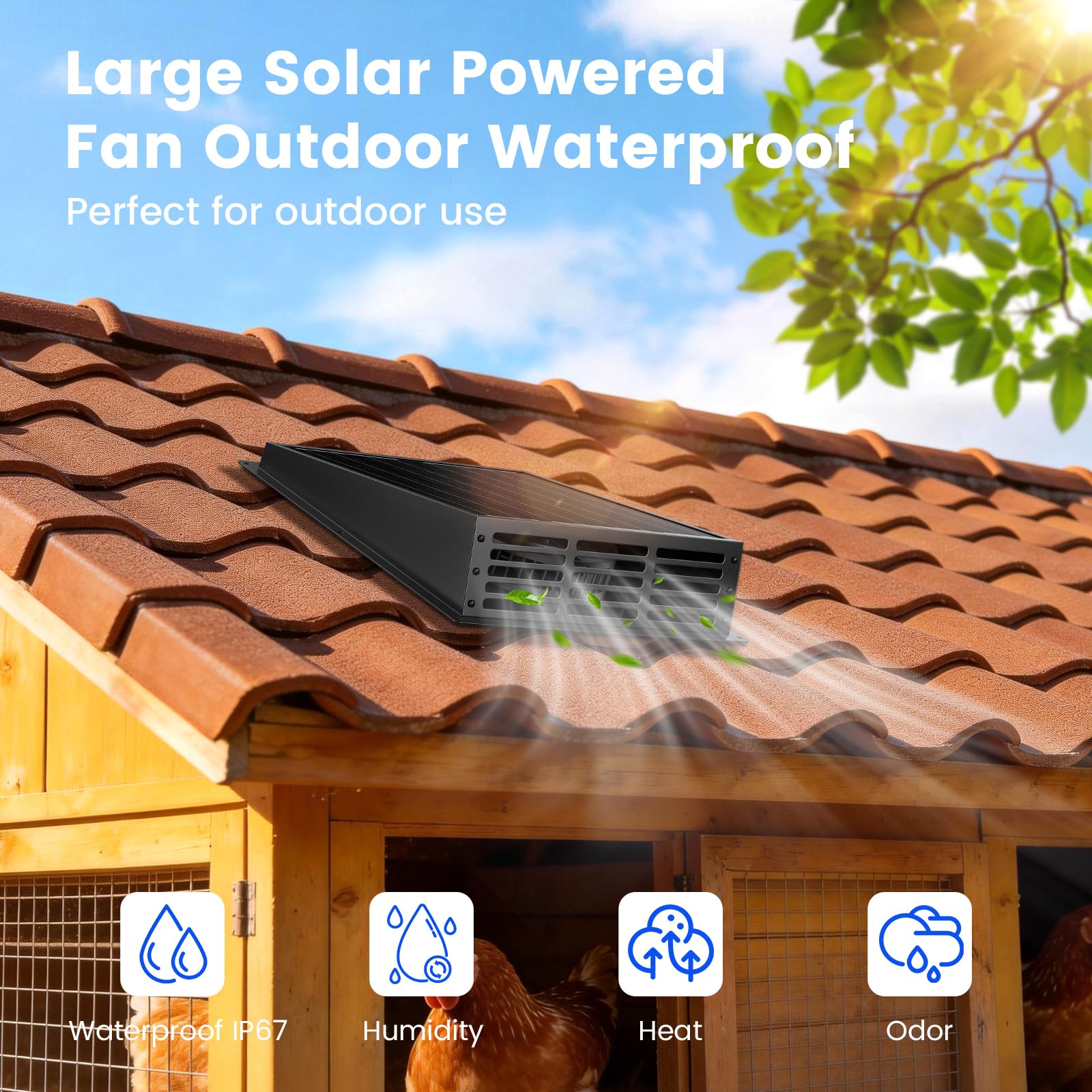 Chtoocy installed in a chicken coop improving ventilation and comfort