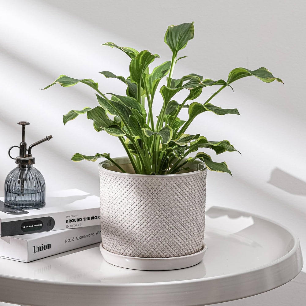 Chubacoo ceramic glaze and texture detail illustrating durable long-lasting finish