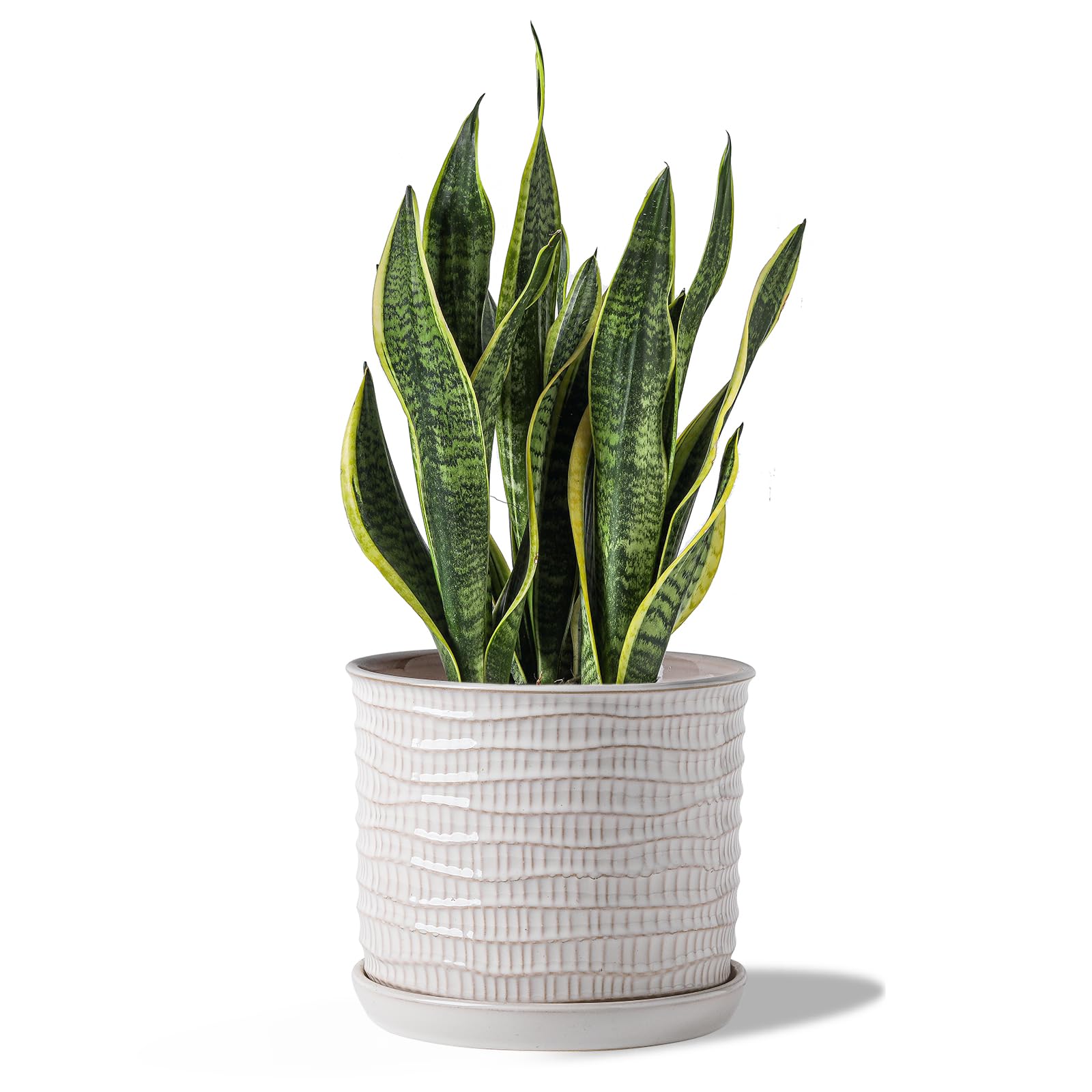 Chubacoo front view of planter showing wave design and elegant finish