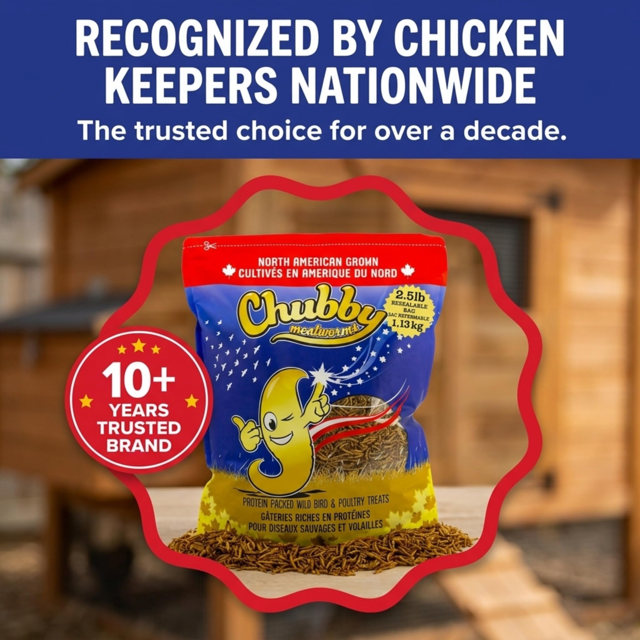 Backyard feeder with Chubby Mealworms attracting wild birds to your yard