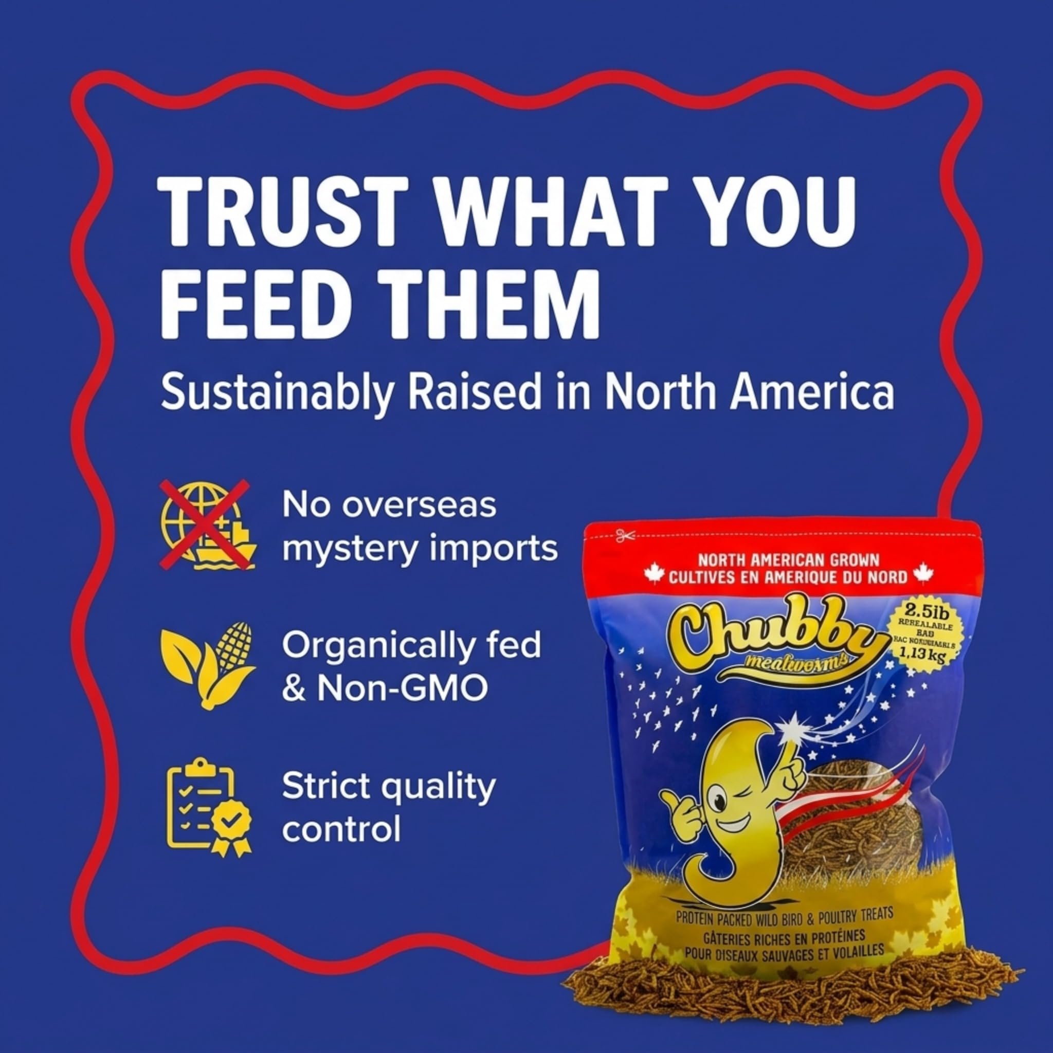 Chubby Mealworms close-up texture highlights protein-rich crunchy pieces
