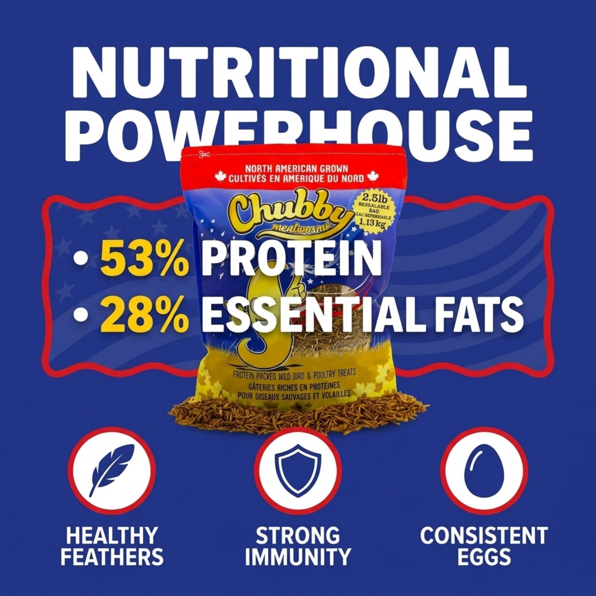 Chubby Mealworms nutrition label close-up showing protein and fat content