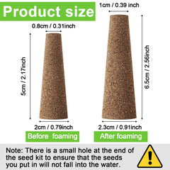 Chumia close-up dry sponge texture and uniform pores aiding root growth