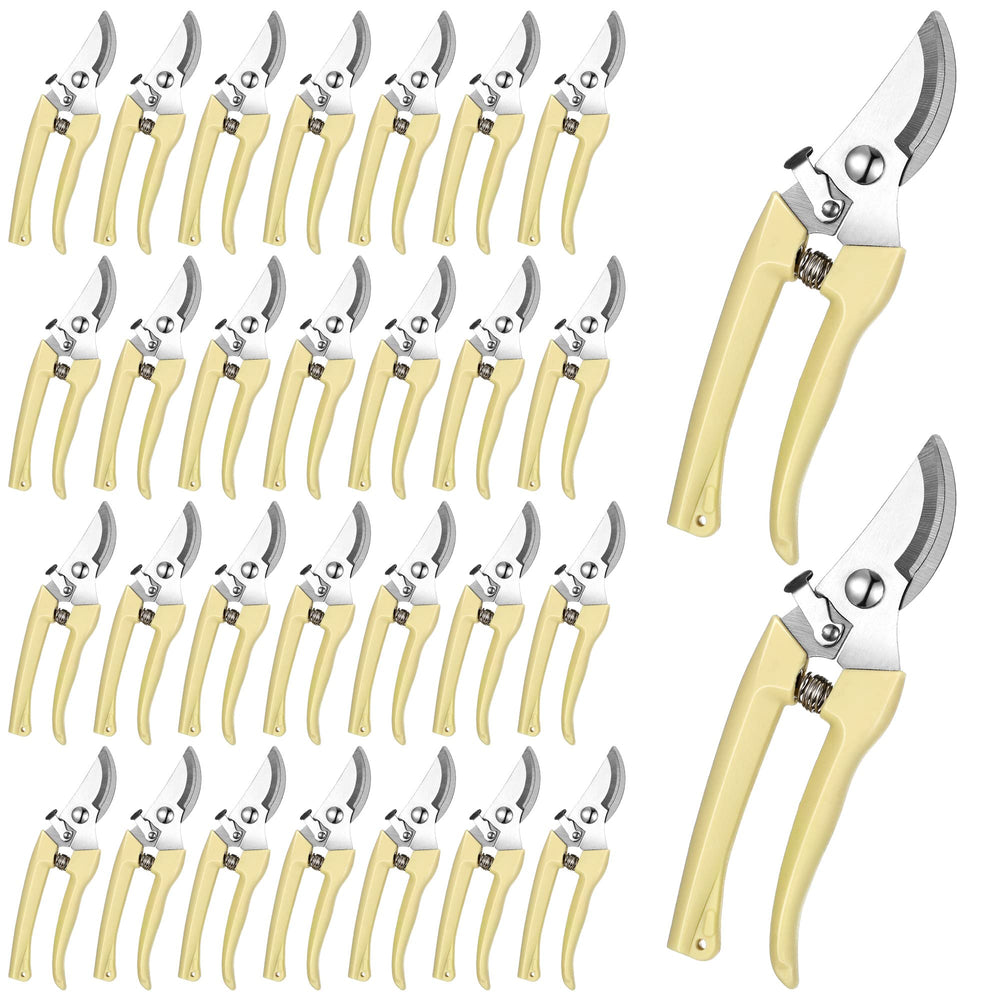 Chumia front packaging view showing 30 beige scissors and clear labeling, convenient bulk supply