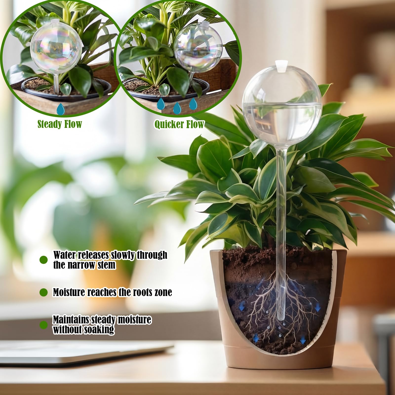 Chumia cleaning brush inside globe showing simple maintenance benefit