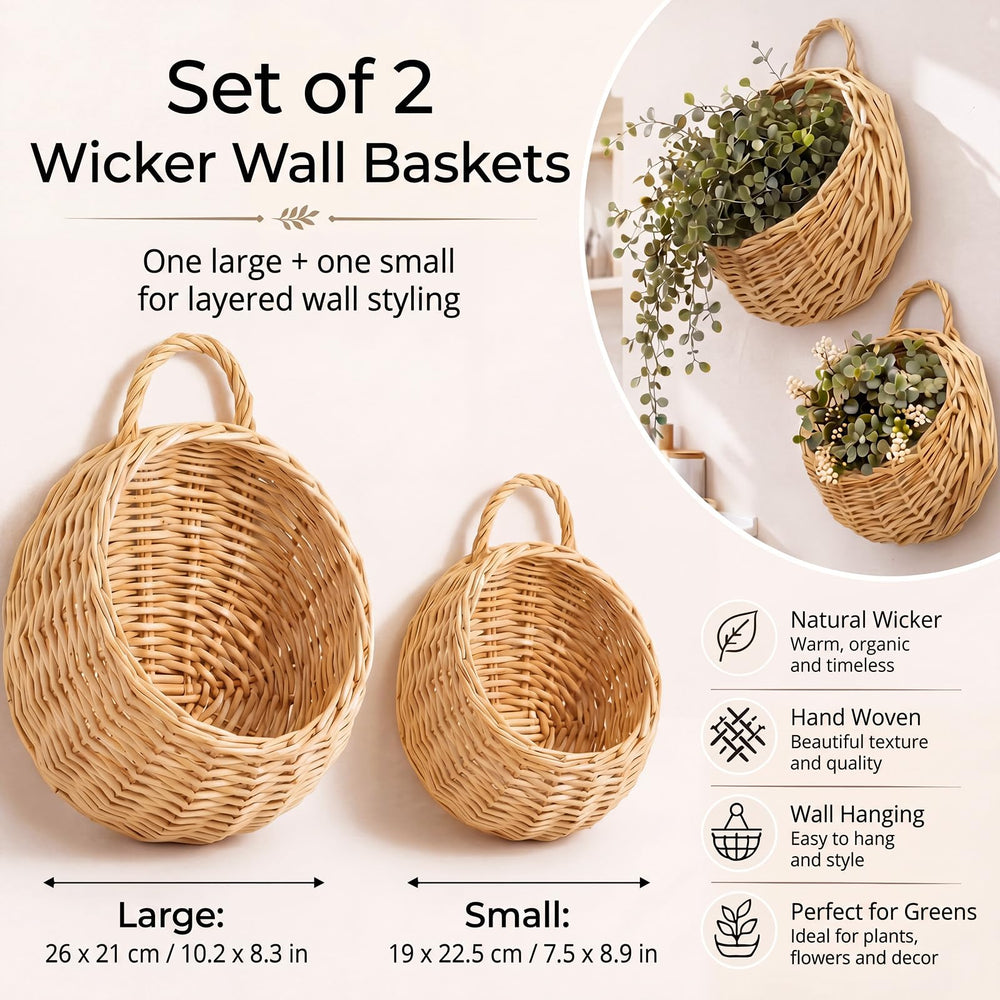 Chumia baskets hanging on living room wall adding vertical greenery and saving floor space