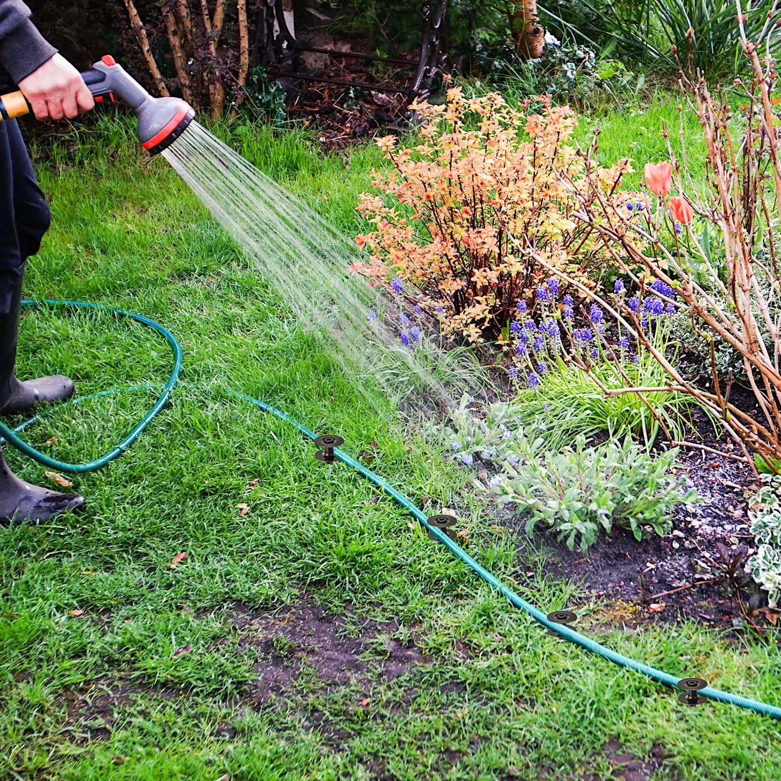 Chumia lifestyle scene with guides protecting plants and improving yard appearance benefit