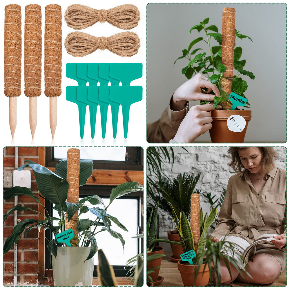 Chumia lifestyle shot of poles in indoor shelf, maximizing vertical space
