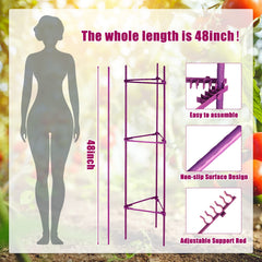 Chunful assembled cage around tomato plant keeping fruit elevated and healthy