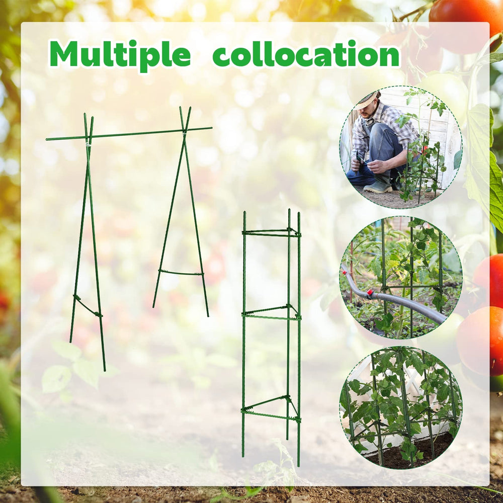 Chunful assembled cage holding tomato plant upright for improved fruiting structure