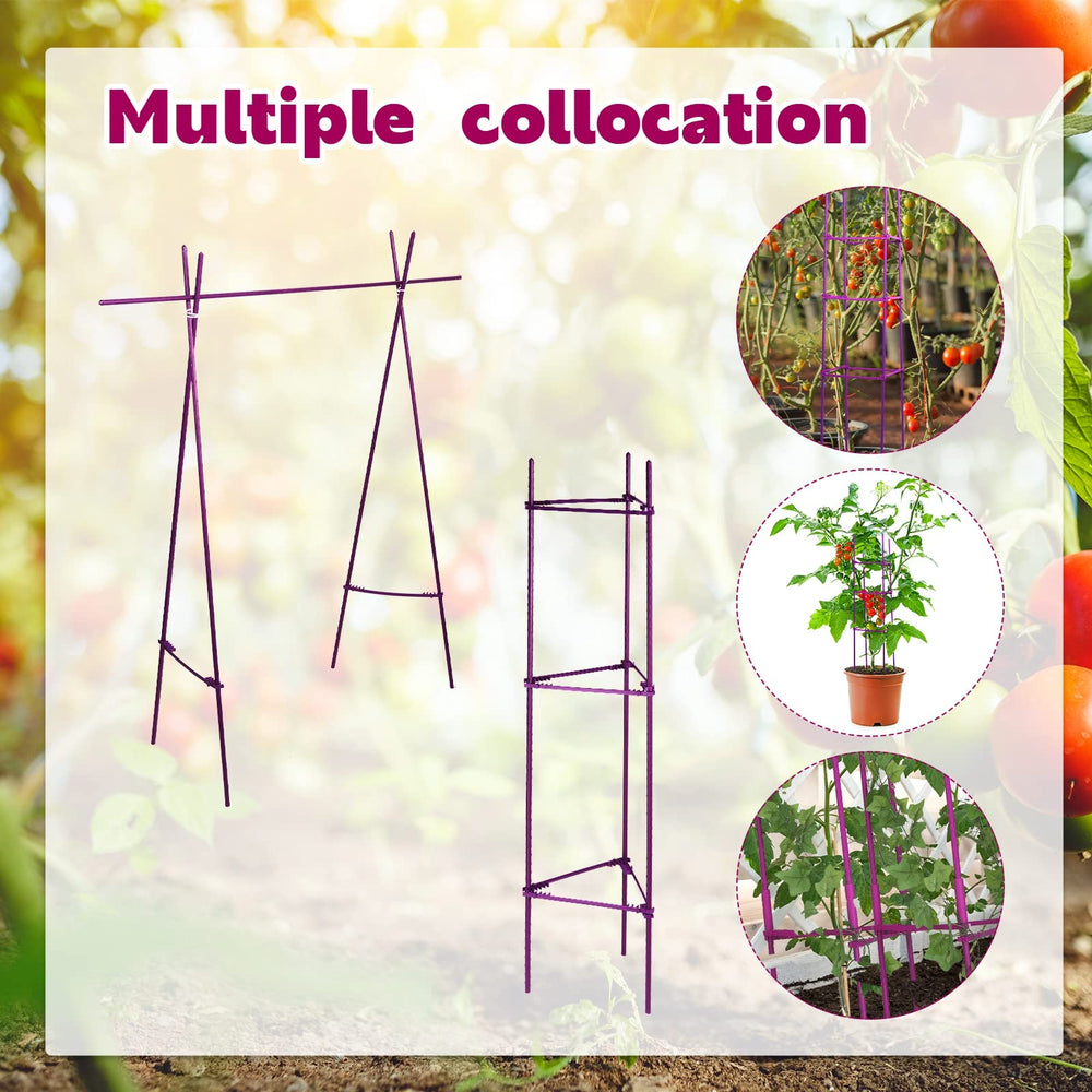 Chunful clip securing vine to stake to protect stem and improve growth