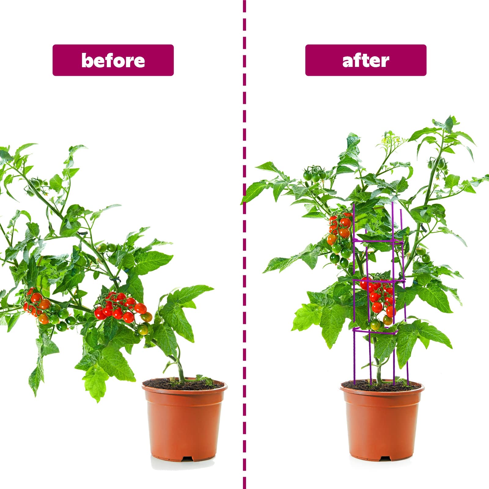 Chunful stakes beside hand showing size and easy garden insertion benefit