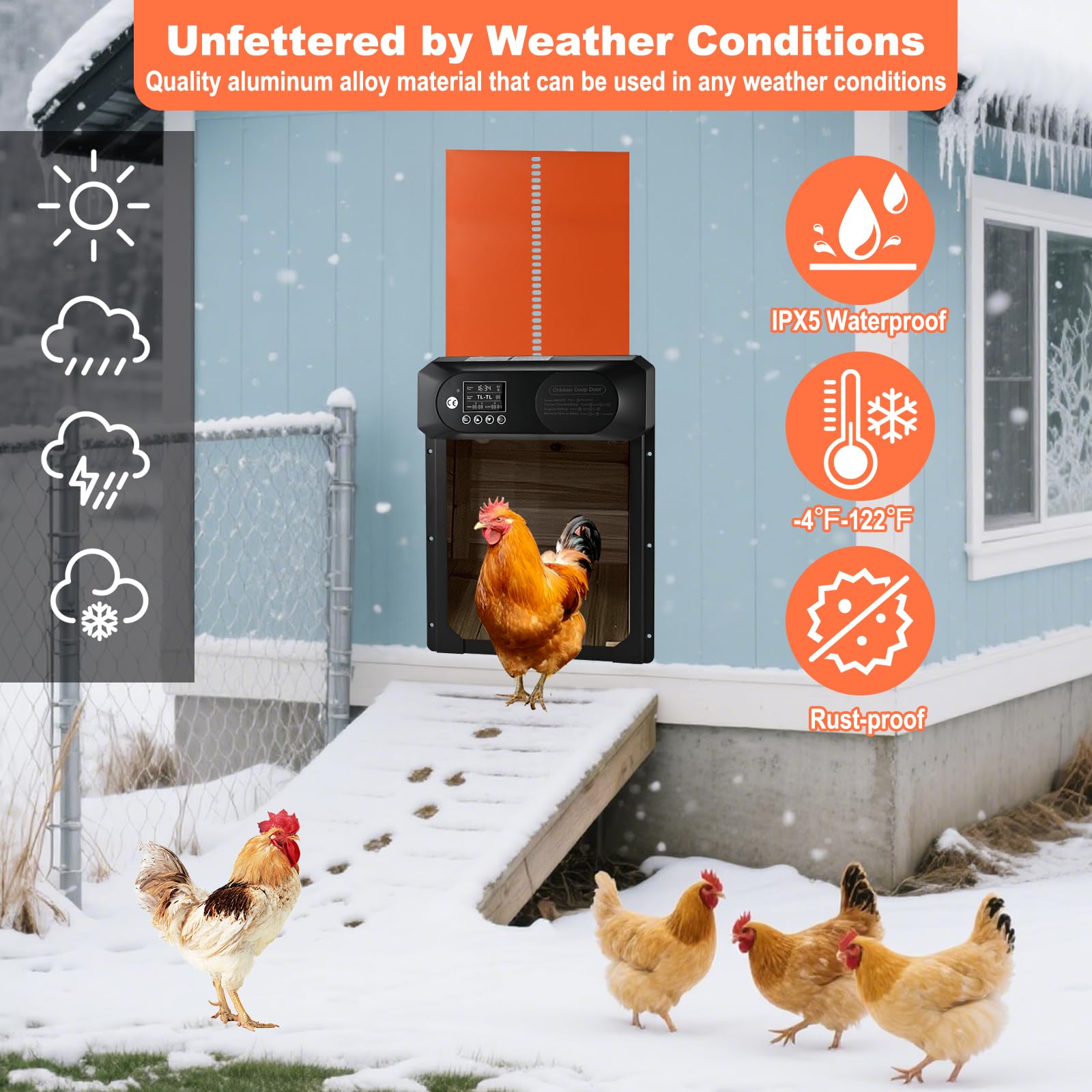 Cieex door open with chickens entering demonstrating hands-free flock access