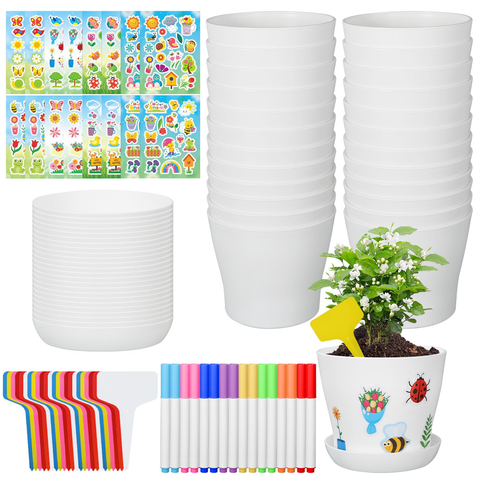 CIEOVO front packaging showing 24 pots and tray set, ready for classroom projects