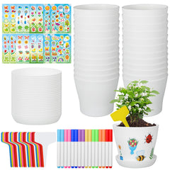 CIEOVO front packaging showing 24 pots and tray set, ready for classroom projects