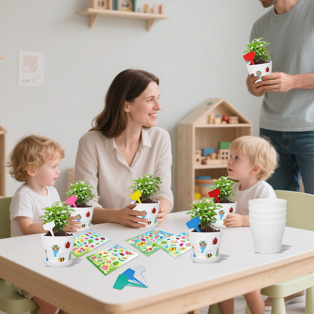 CIEOVO paints and accessories displayed to show creative possibilities