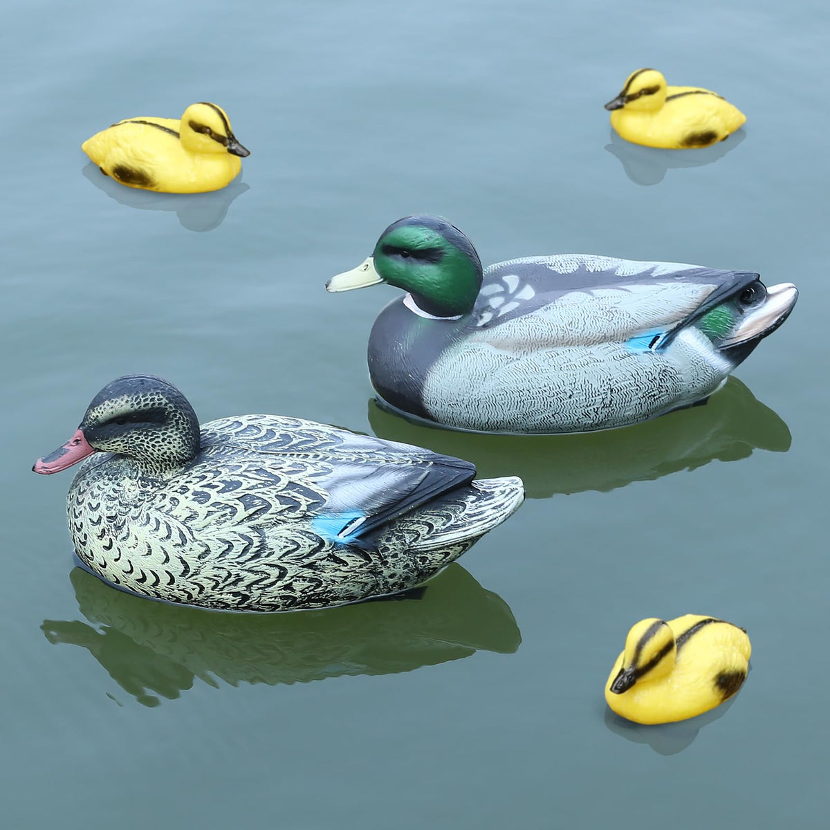Cifavor front view of adult mallards showing lifelike look and appeal