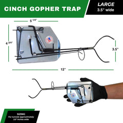Cinch TRAPS SINCE 1909 trap positioned inside an active tunnel demonstrating correct in-ground placement